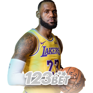 61JL basketball slam dunk